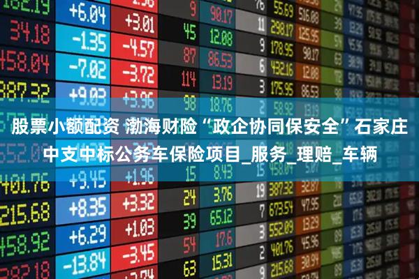 股票小额配资 渤海财险“政企协同保安全”石家庄中支中标公务车保险项目_服务_理赔_车辆
