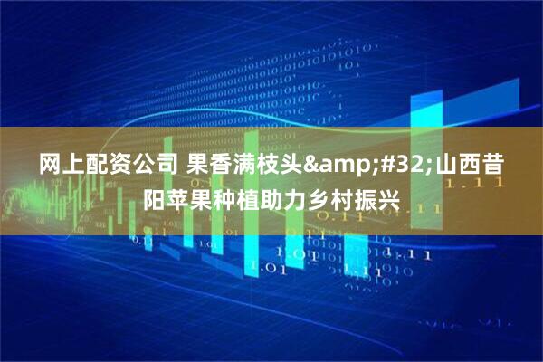 网上配资公司 果香满枝头 山西昔阳苹果种植助力乡村振兴